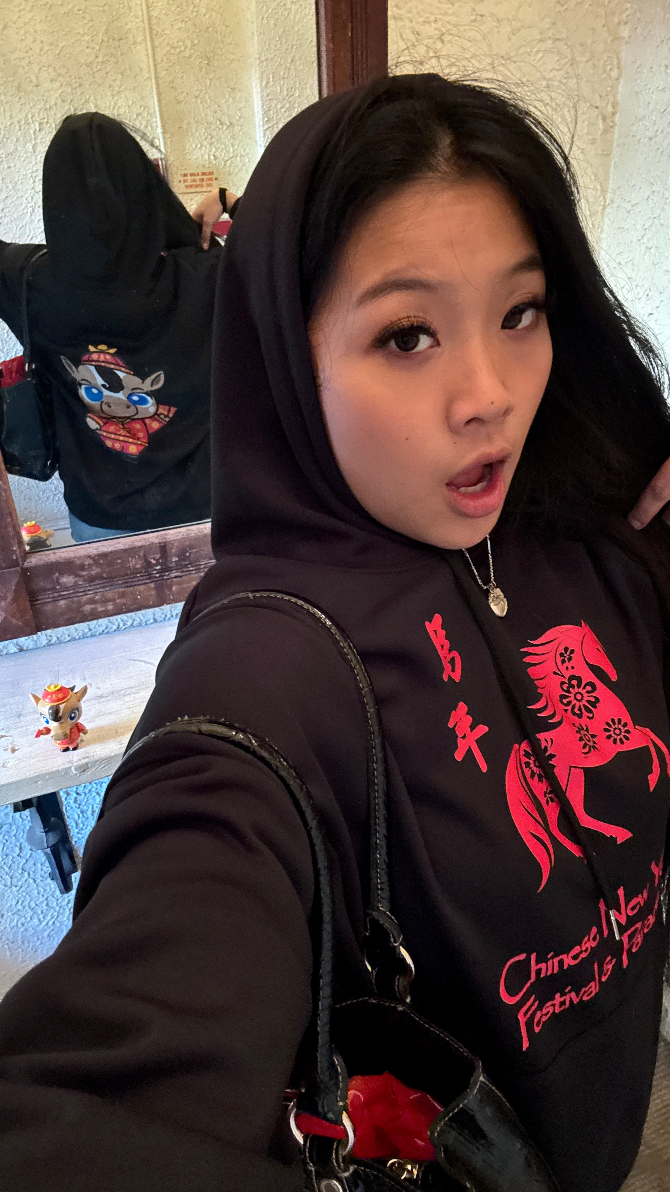 Fleece-Lined Hoodie XL & XXL